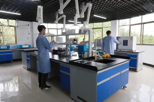 專業(yè)技術(shù)鑄就專業(yè)服務(wù) 信息技術(shù)咨詢服務(wù)